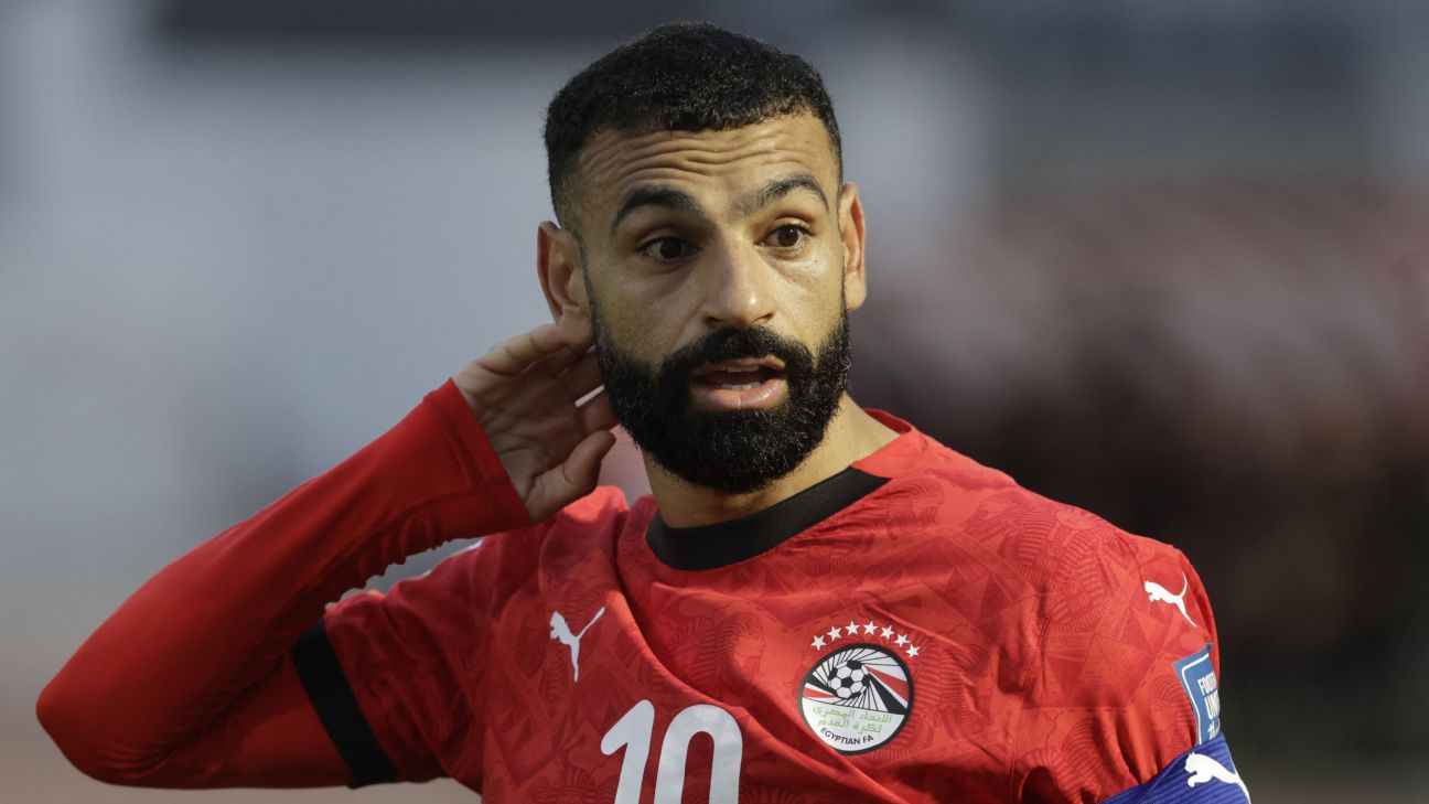 FIFA要求埃及世界杯球衣去掉七颗星，EFA确认已调整